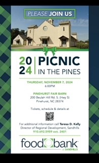 Picnic in the Pines